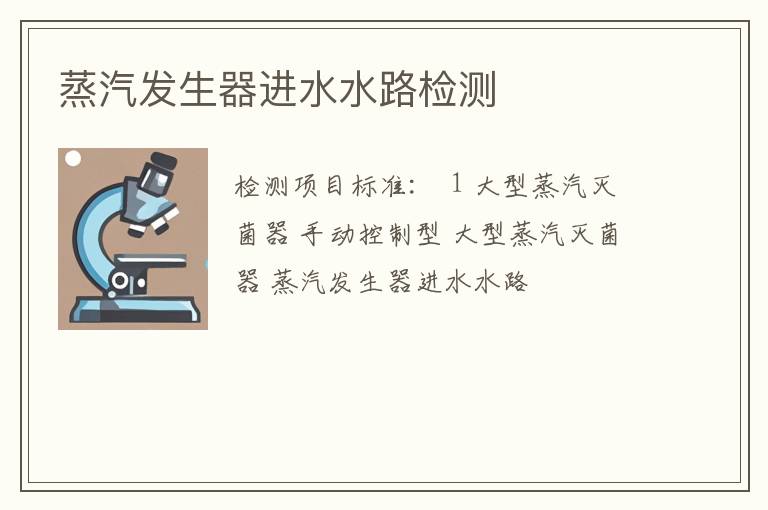 蒸汽发生器进水水路检测